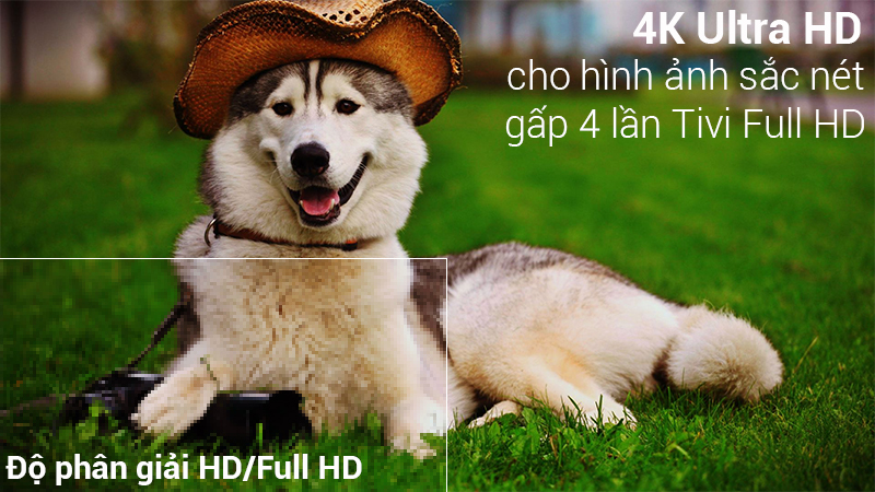 so sánh Tivi 4K và Full HD