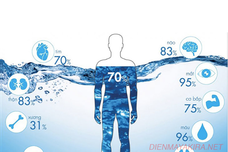 Sự quan trọng của nguồn nước đối với cơ thể